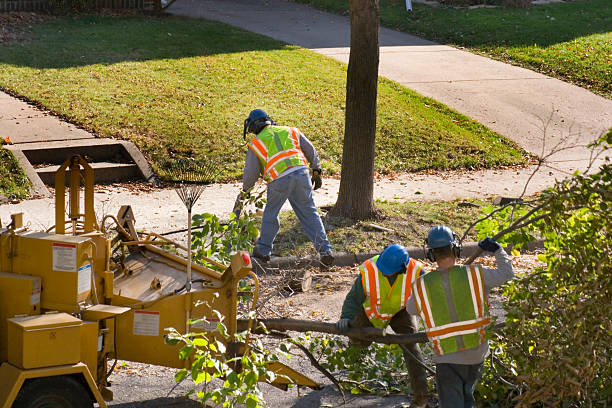 Best Commercial Tree Services  in Fairfax, OK